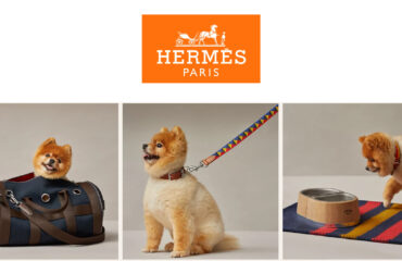 Hermes Pet products