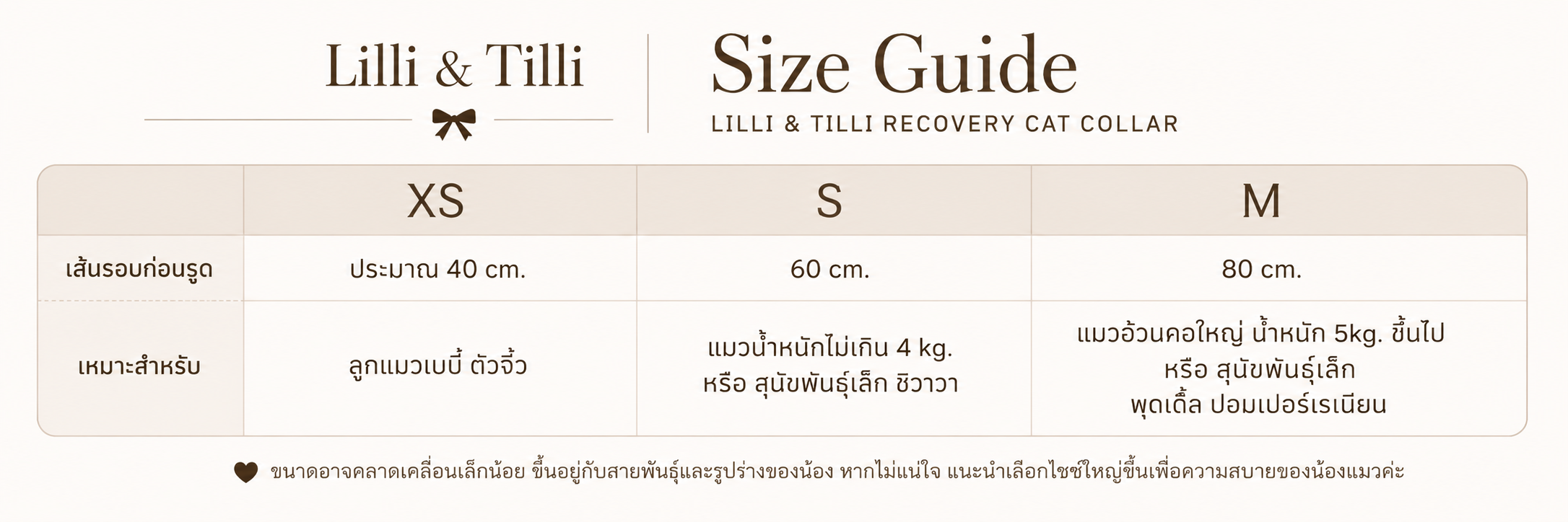 รายละเอียดขนาด