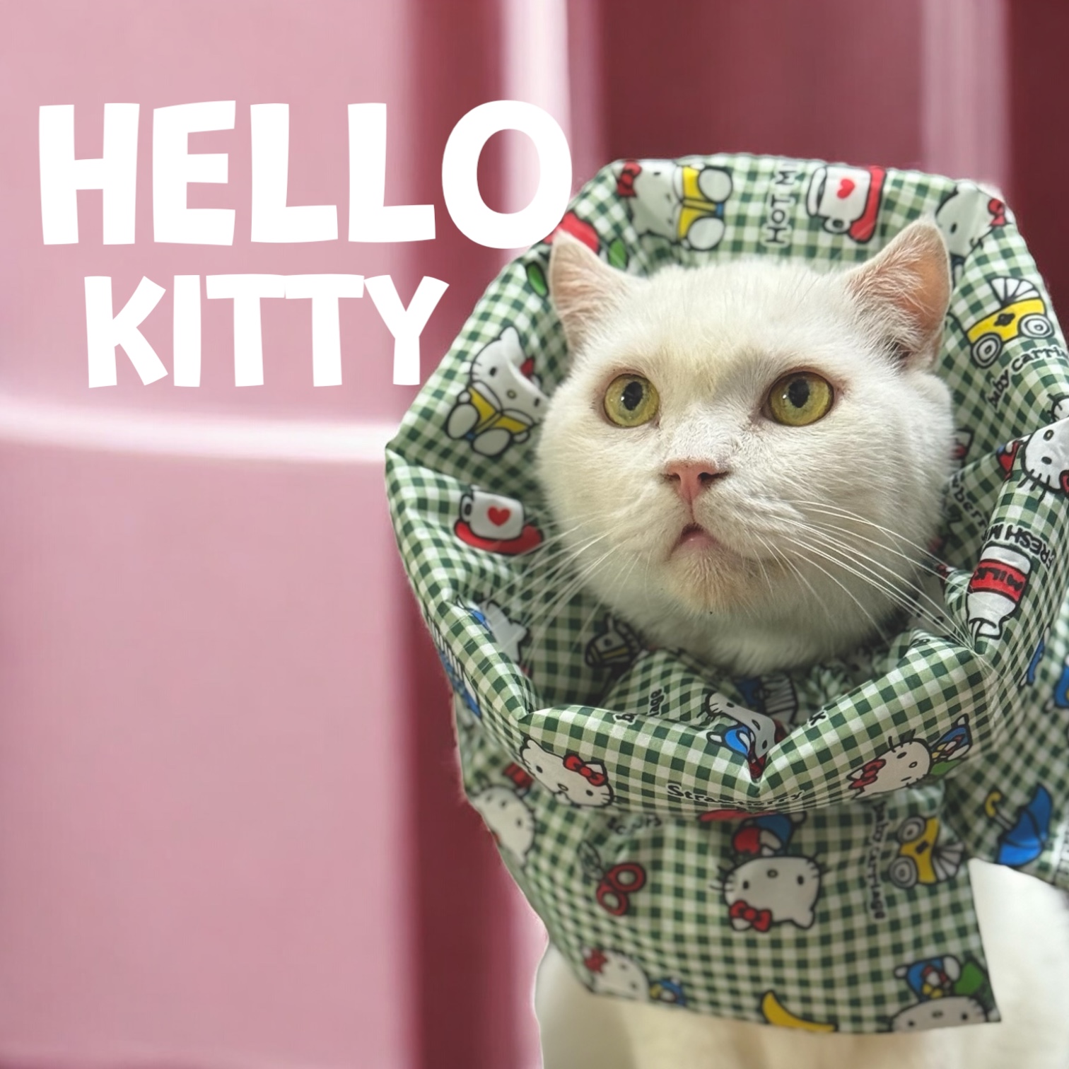 Hello Kitty green