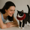 cat wearing collar