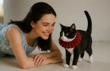 Postcollar cat wearing collar