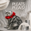 ปลอกคอ pleated collar