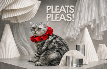 red-ruff-collar ปลอกคอ pleated collar